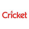 Cricet