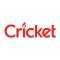 Cricet
